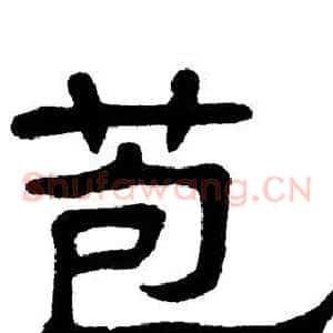 苞
