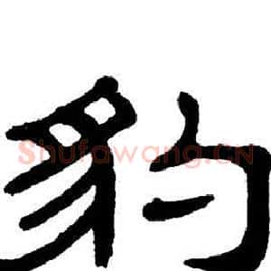 豹