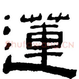 莲