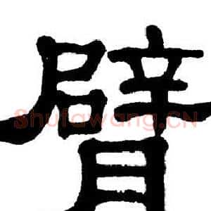 臂