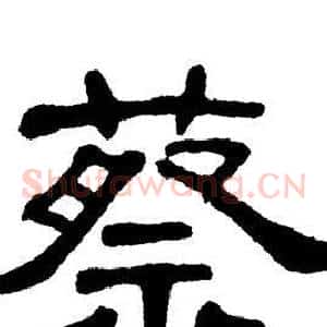 蔡