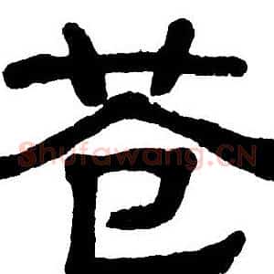 苍