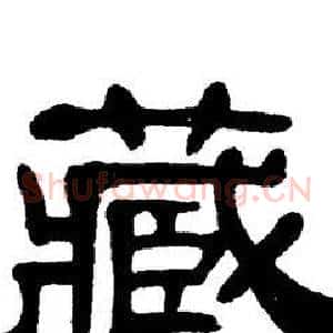 藏