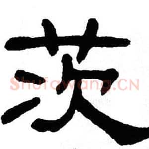 茨