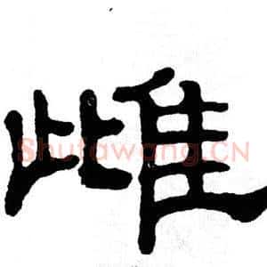 雌