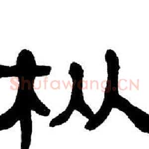 枞