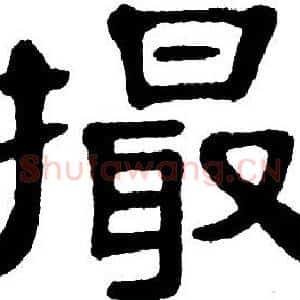 撮