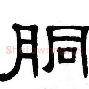 胴