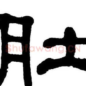肚