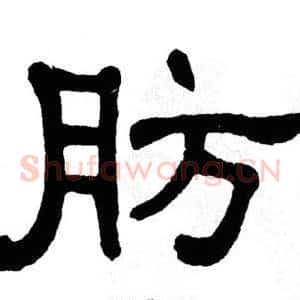 肪