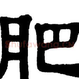 肥