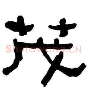 茂