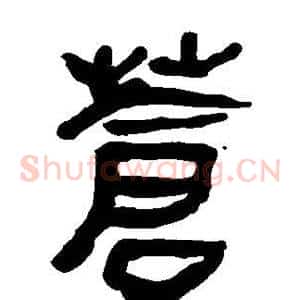 苍