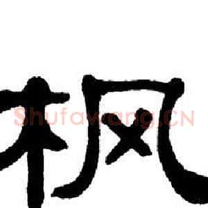 枫