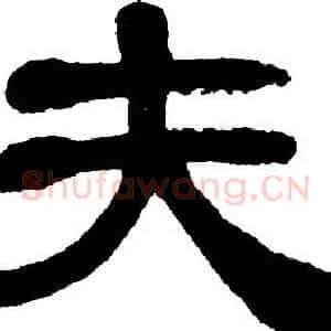 夫