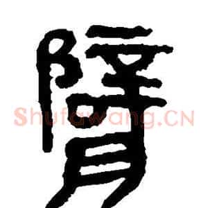 臂
