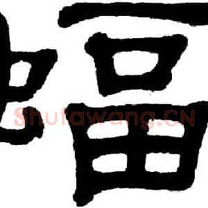 蝠