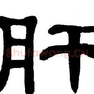 肝