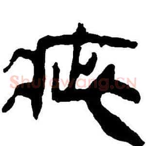 疵