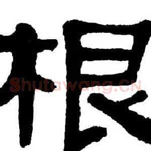 根