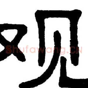 观