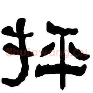 抨