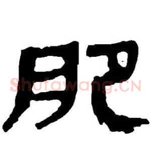 肥