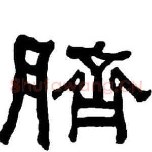 脐