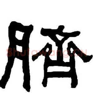 臍