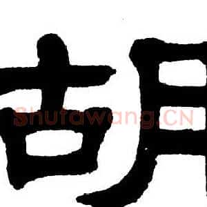 胡