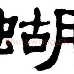 蝴