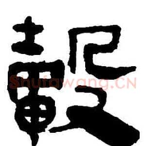 轂