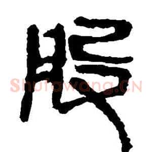 股