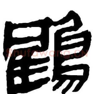 鹤