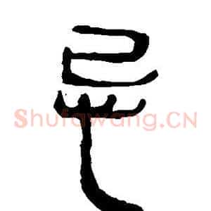 忌