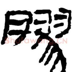 胶