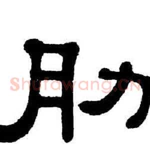 肋