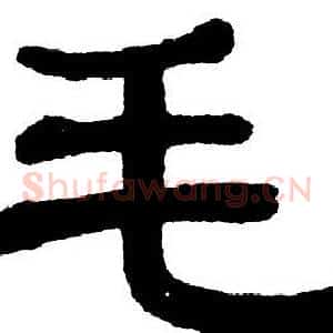毛