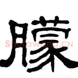 朦