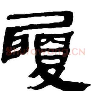 履