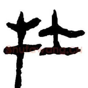 牡