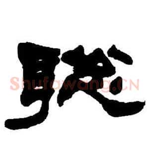 聪