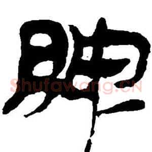 脾
