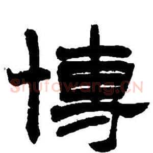 博