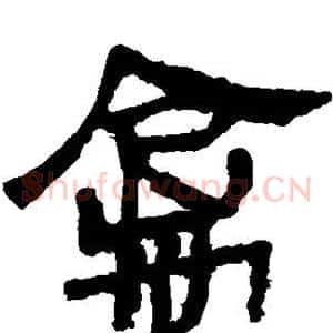 禽