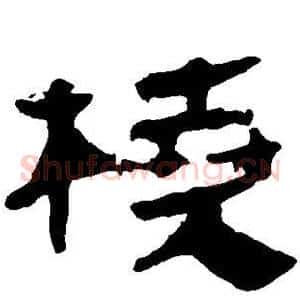 桡