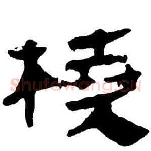 橈