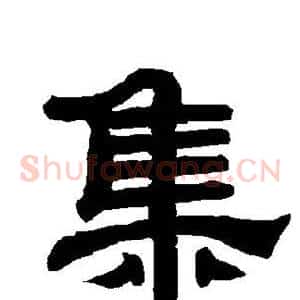 集