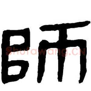 師