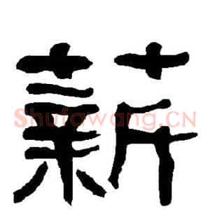 薪